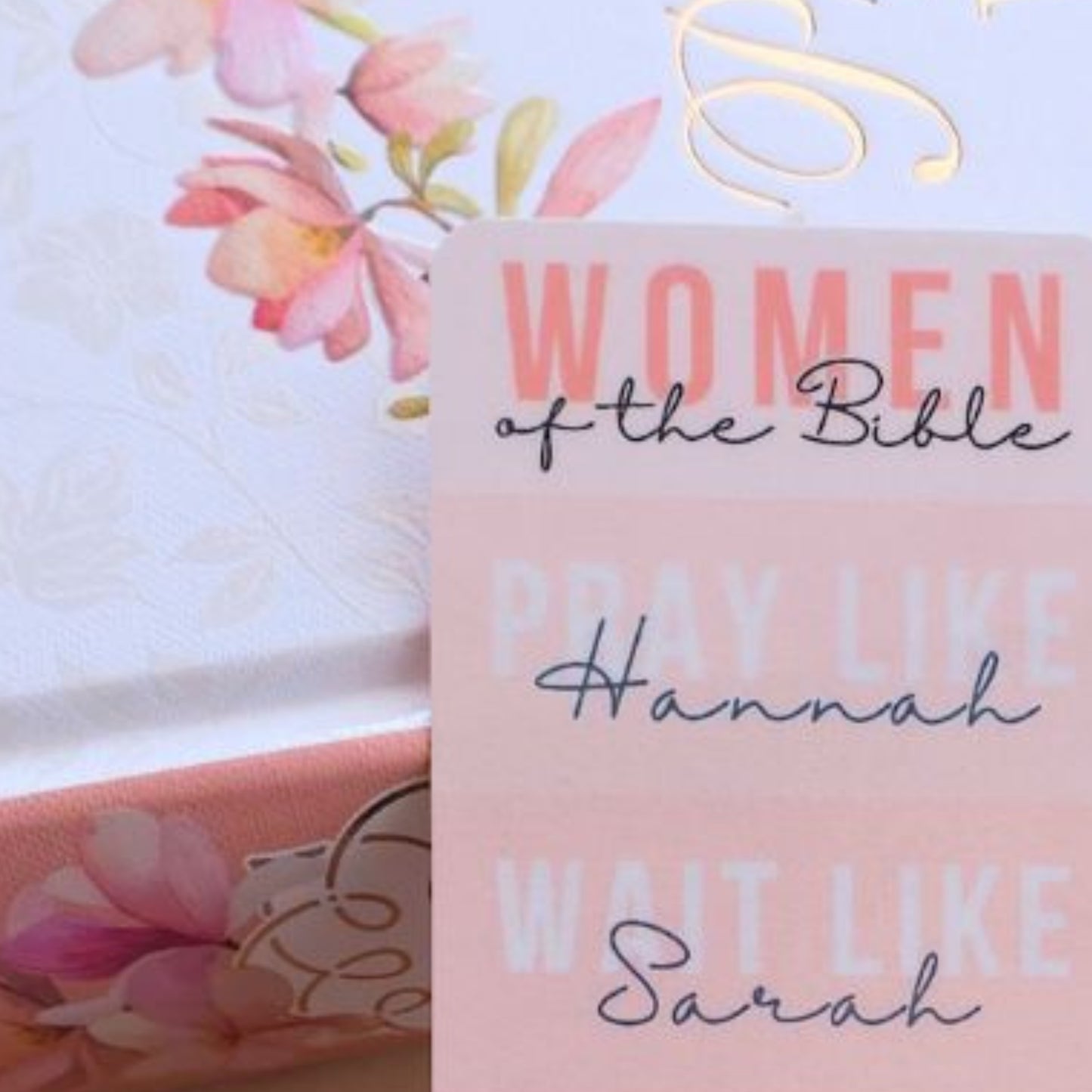 Women of the Bible Pink Bookmark